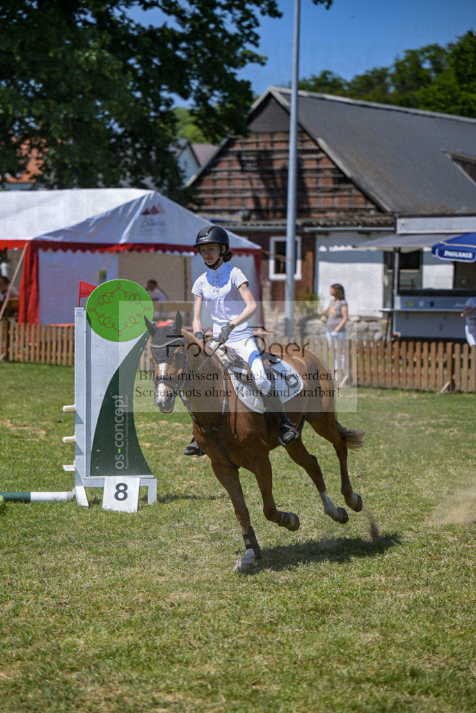 Reitturnier Voxtrup | Entdecke hochwertige Reitturnierfotos von Foto Oger. Professionell, emotional und authentisch – jetzt Lieblingsmomente im Shop bestellen.Deutschlandweite Turnierfotografie. - Realisiert mit Pictrs.com