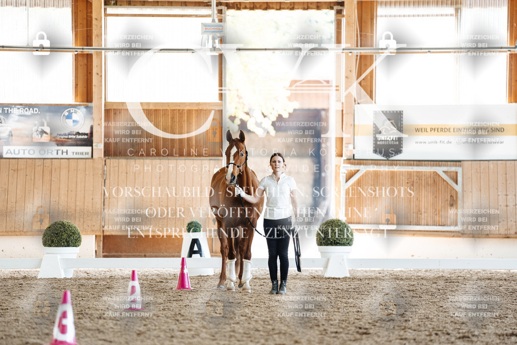 CK907613 | Turnierfotografie Pferdefotografie Trier Rheinland-Pfalz Pferdesport Reitsport Tierfotografie Sportfotografie Pferdevideo Pferdevideografie Equestrianvideography equestrianphotography  - Realisiert mit Pictrs.com