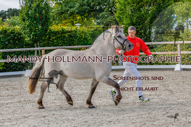 GK (656 von 759) | mandyhollmannphotographie