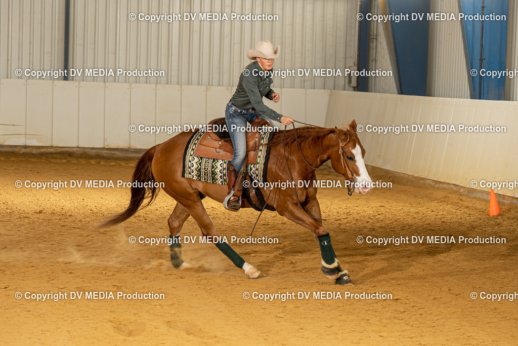 MIT00152 | dv-media-shop - Realisiert mit Pictrs.com