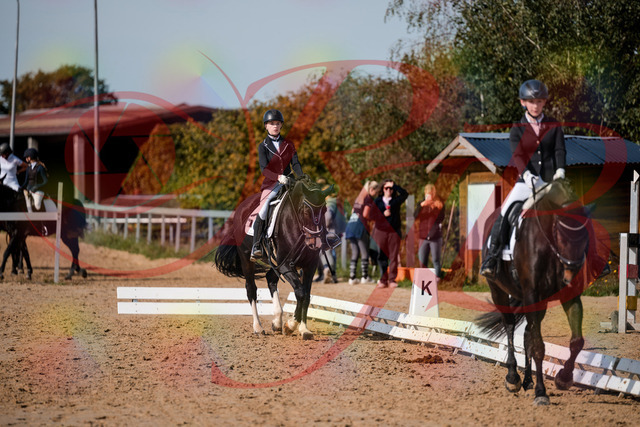 2026_10_03_Siefer-Hof_121413_Z63_39216177 | Professionelle Reitsport-, Turnier- und Eventfotografie von Robert Broda. Galerien mit ausgewählten und bearbeiteten Bildern direkt online ansehen und bestellen.