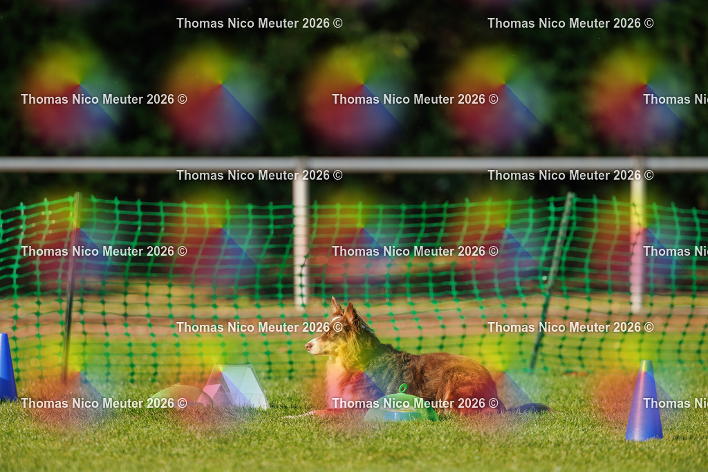 Thomas_Nico_Meuter(C)_04. Oktober 2026_223A3801 | Bild von Thomas Nico Meuter - Realisiert mit Pictrs.com