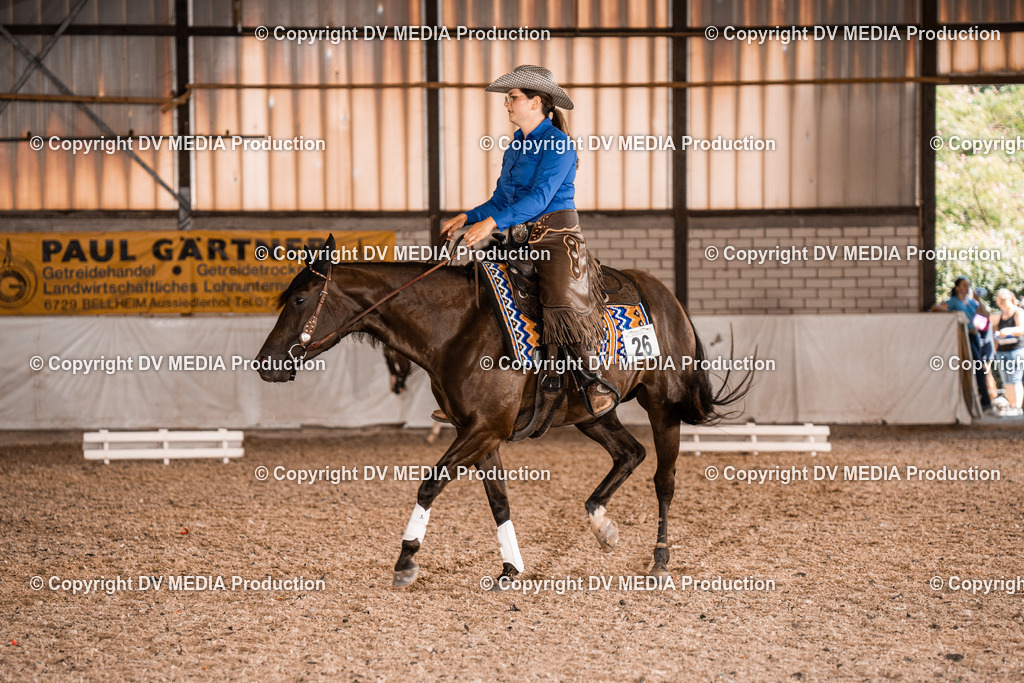 ZH100401 | dv-media-shop - Realisiert mit Pictrs.com