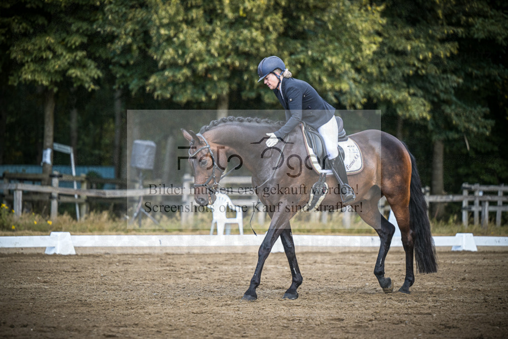 DOS_4156 | Entdecke hochwertige Reitturnierfotos von Foto Oger. Professionell, emotional und authentisch – jetzt Lieblingsmomente im Shop bestellen.Deutschlandweite Turnierfotografie. - Realisiert mit Pictrs.com