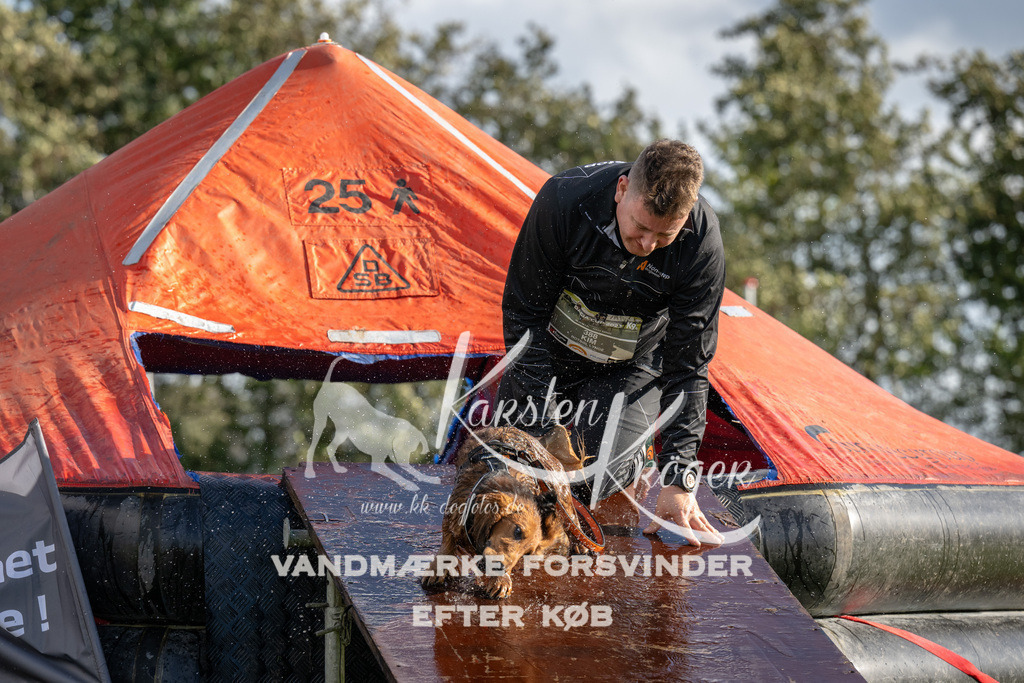 1433-94434 | kk-dogfotos