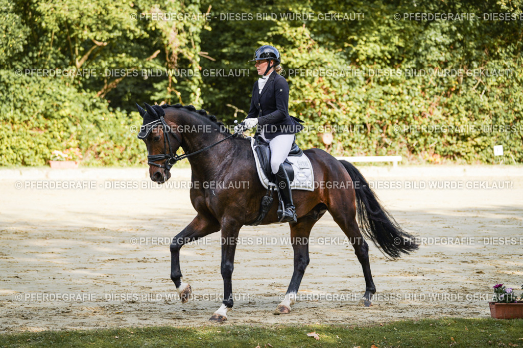 DSC07745 | Pferdegrafie