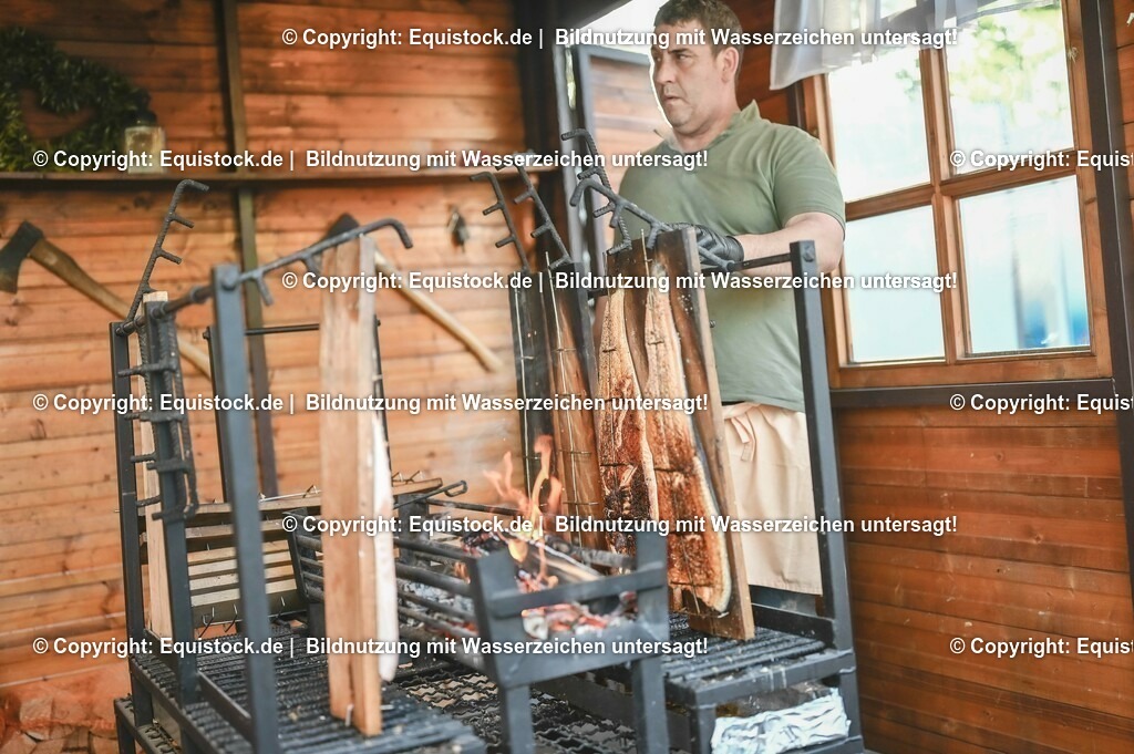 D78_3797 | equistock