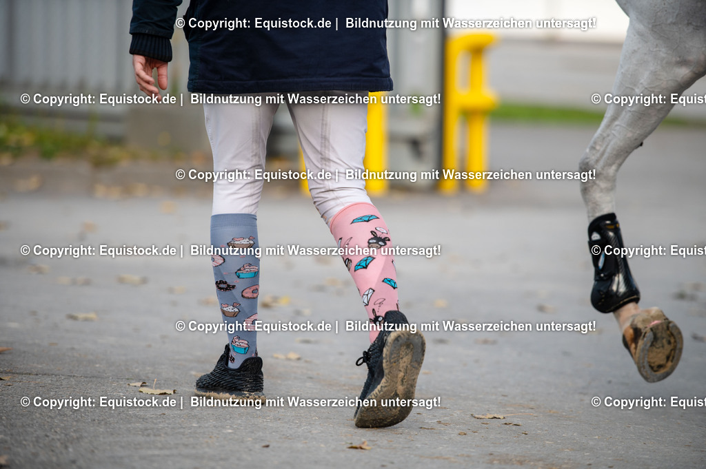 20251112_Impressionen_TOMSPIC_0014 | Foto: Thomas Hartig