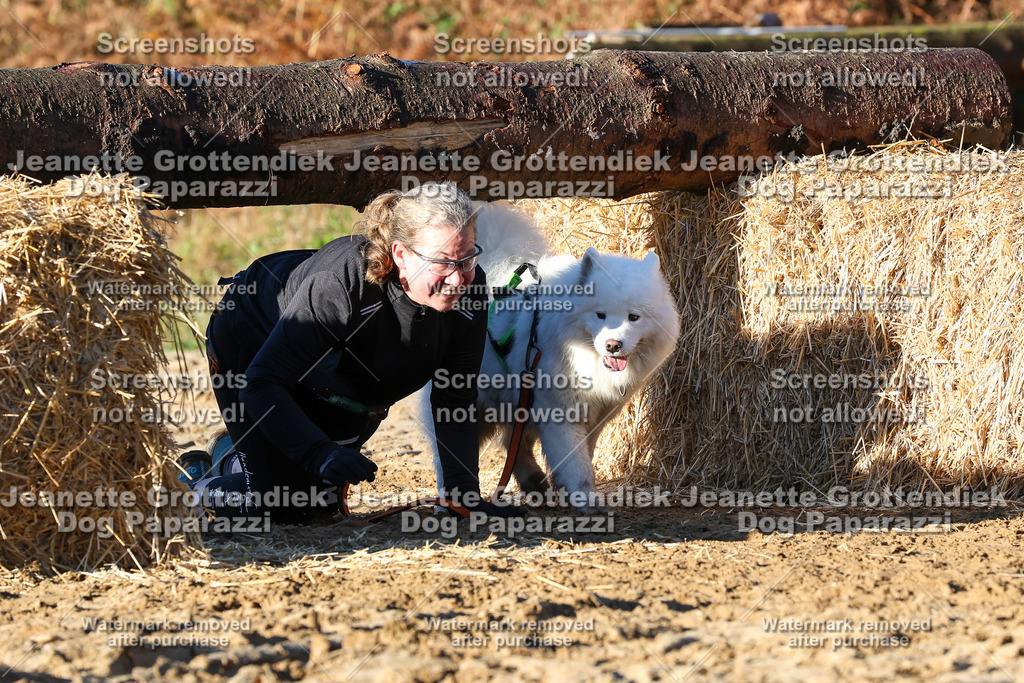 Dog Paparazzi - Strongdog 10-25-1208 | Dog Paparazzi Jeanette Grottendiek Fotografie & Videografie - Realisiert mit Pictrs.com