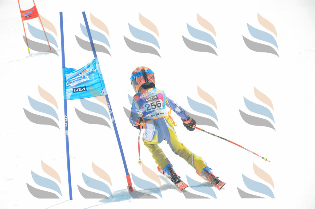 _ELE7622 | holidayphoto