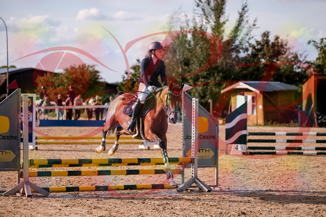 2026_10_03_Siefer-Hof_155323_Z81_72821348 | Professionelle Reitsport-, Turnier- und Eventfotografie von Robert Broda. Galerien mit ausgewählten und bearbeiteten Bildern direkt online ansehen und bestellen.