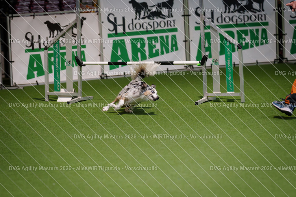 allesWIRTHgut_Tierfotografie-DVG_Agility_Masters_2026-16_38-7R504005 | Professionelle Tierfotografie in Mönchengladbach von Daniel Wirth (allesWIRTHgut). Liebevolle & natürliche Bilder von Hunden & Katzen für unvergessliche Erinnerungen.
