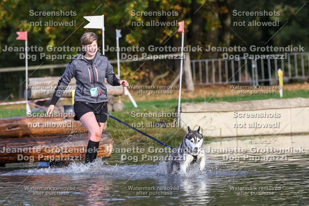 Dog Paparazzi - Strongdog 10-25-8354 | Dog Paparazzi Jeanette Grottendiek Fotografie & Videografie - Realisiert mit Pictrs.com