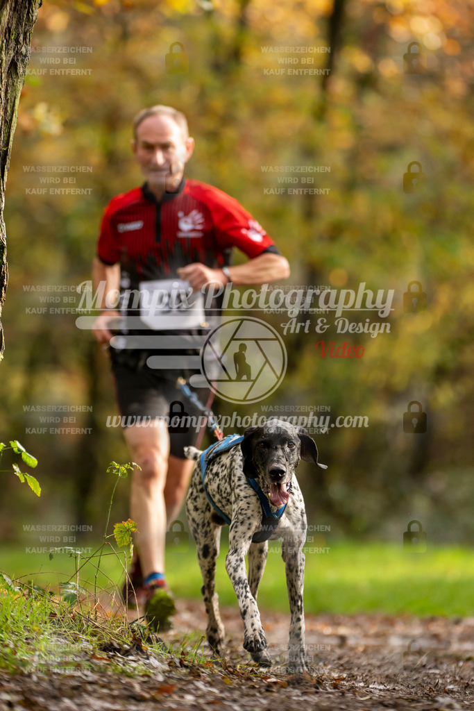 MompixPhotography_Bischwiller23_Canicross-50 | PayLife