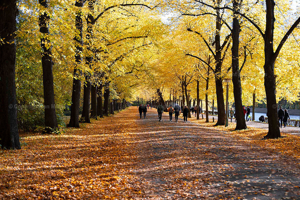 _DSC0411 | Leipzig Wandbilder Drucke Prints Leinwand Stadtmotive Leipzig Fotosdruck Kunstdrucke Bilder Leipzig Stadtansichten Acrylglasbilder Leipzig Wanddeko Fine Art Prints Wandbilder Büro Leipzig Bilder Praxis Zuhause Bilderdruck Poster Posterlounge Kunstdrucke - Realisiert mit Pictrs.com