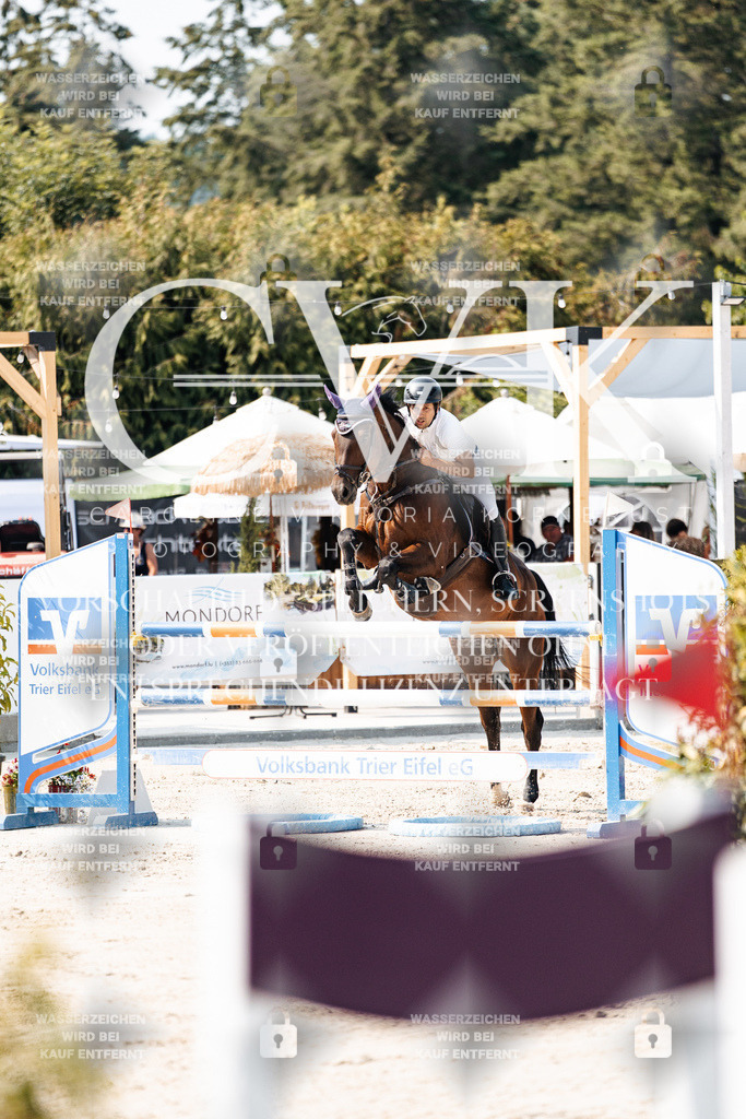 CK902162 | Turnierfotografie Pferdefotografie Trier Rheinland-Pfalz Pferdesport Reitsport Tierfotografie Sportfotografie Pferdevideo Pferdevideografie Equestrianvideography equestrianphotography  - Realisiert mit Pictrs.com