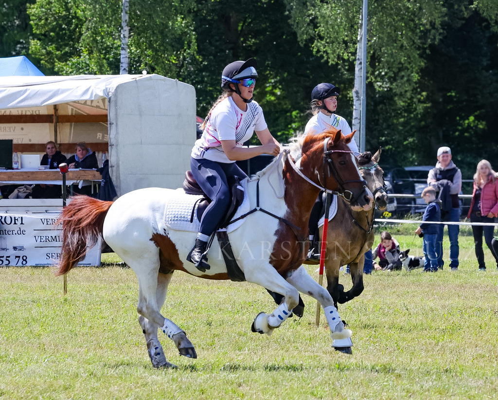 IMG_1615 | Reitsport Reiten