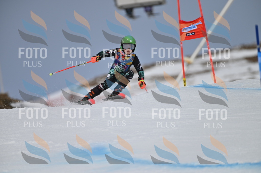 BGV_5236 | holidayphoto