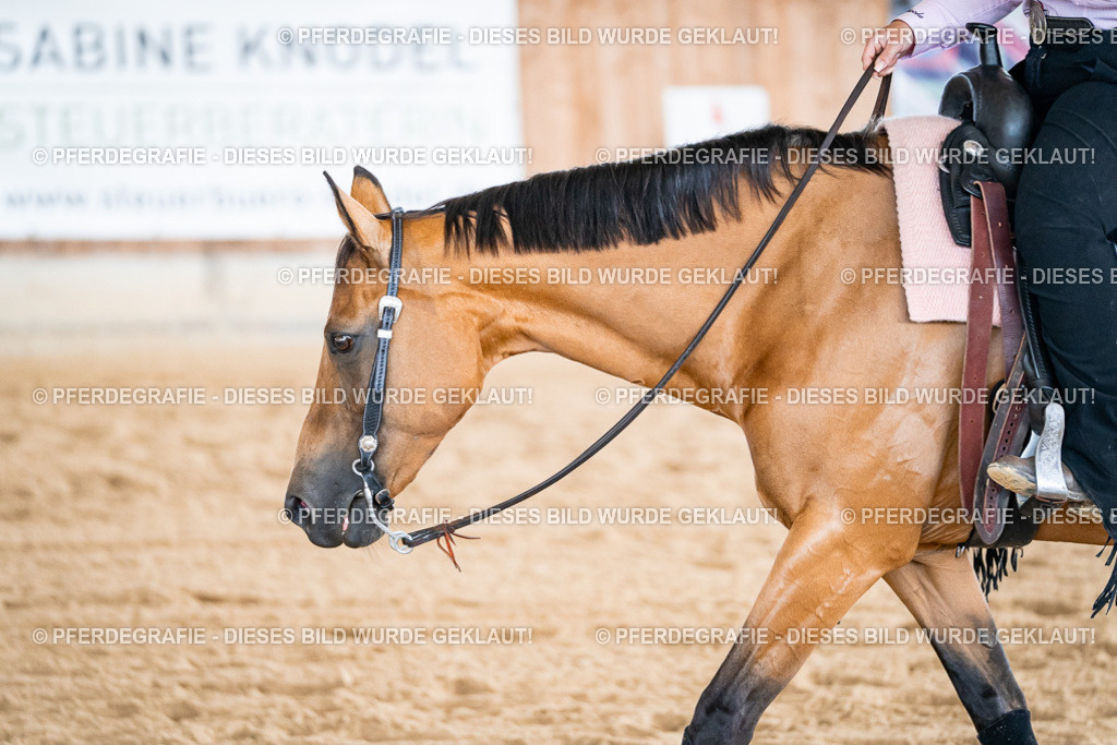 DSC09078 | Pferdegrafie