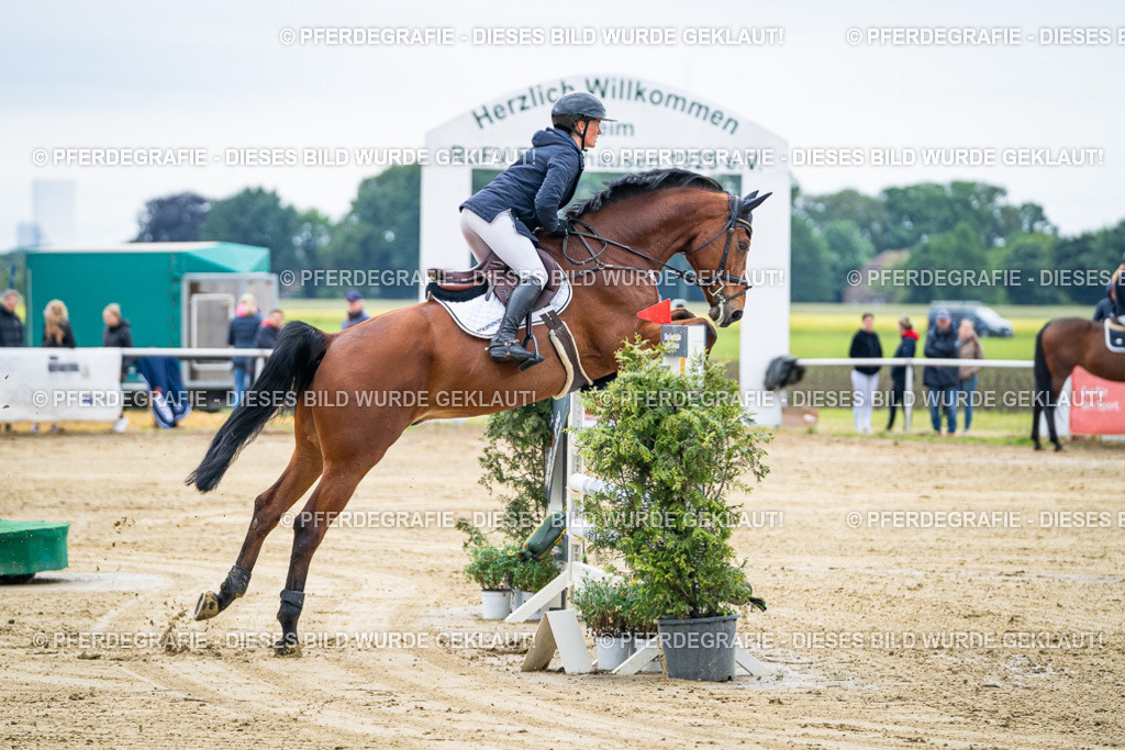 DSC04572 | Pferdegrafie