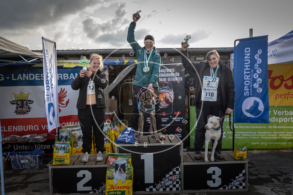 0L8A9195 | Hundefotografie, Tierfotograf, Pfotenfotografie, Fotoshooting Hund, Hunde Portrait, Hundesport, Hundeportraits, Heideshooting, Hunde, Sportfotograf, Hundefotograf, Turnierhundsport, THS,  - Realisiert mit Pictrs.com