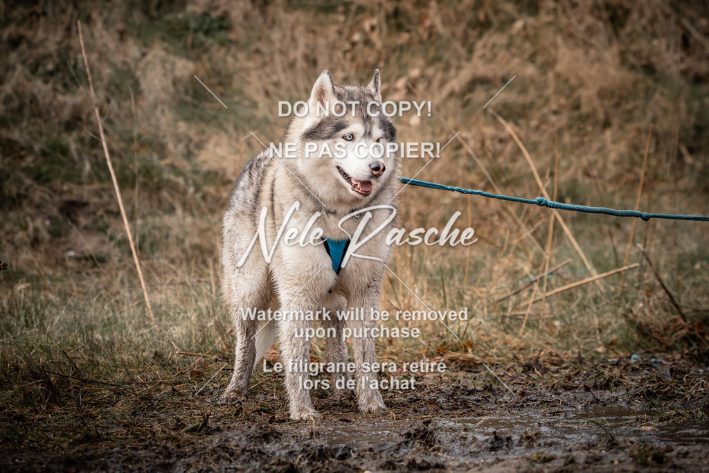 nelerasche_1400-1430_78 | nelerasche