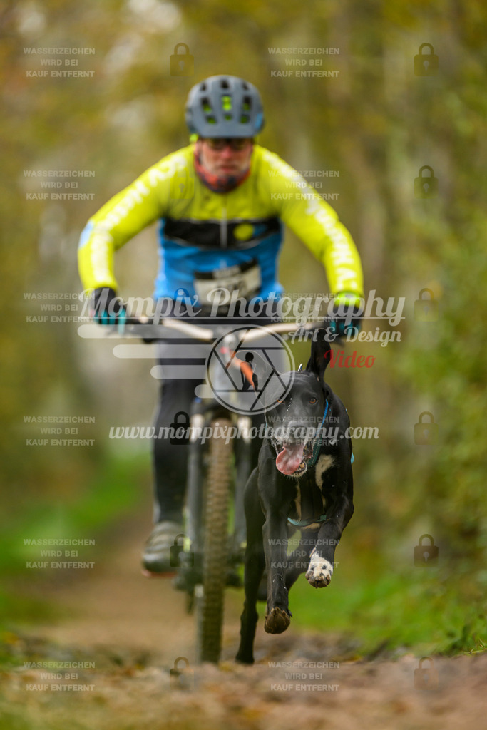 MompixPhotography_20TSB_E6_Bike-111 | PayLife