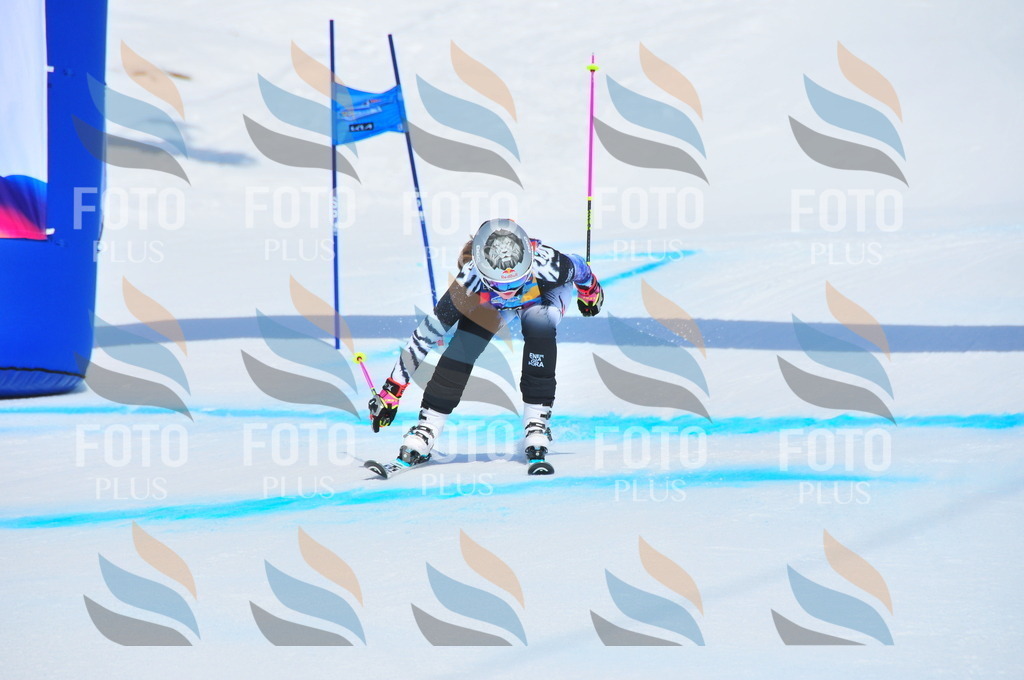 DSC_5318 | holidayphoto