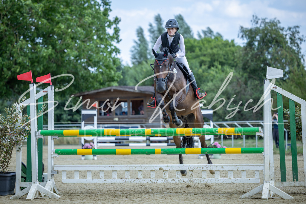 20260704-_3LI2112 | Tierfotografie Pferde, Hunde, Katzen, Haustiere.
Turnierfotografie Reitturniere, Reiten, Springreiten, Dressur in Hanau, dem Main-Kinzig-Kreis und dem Rhein-Main- Gebiet um Frankfurt