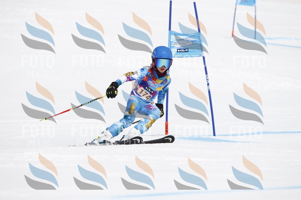 _U3G4587 | holidayphoto