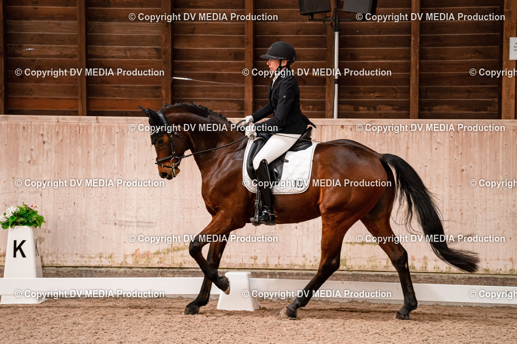 Dressur Tag 2-156 | dv-media-shop - Realisiert mit Pictrs.com