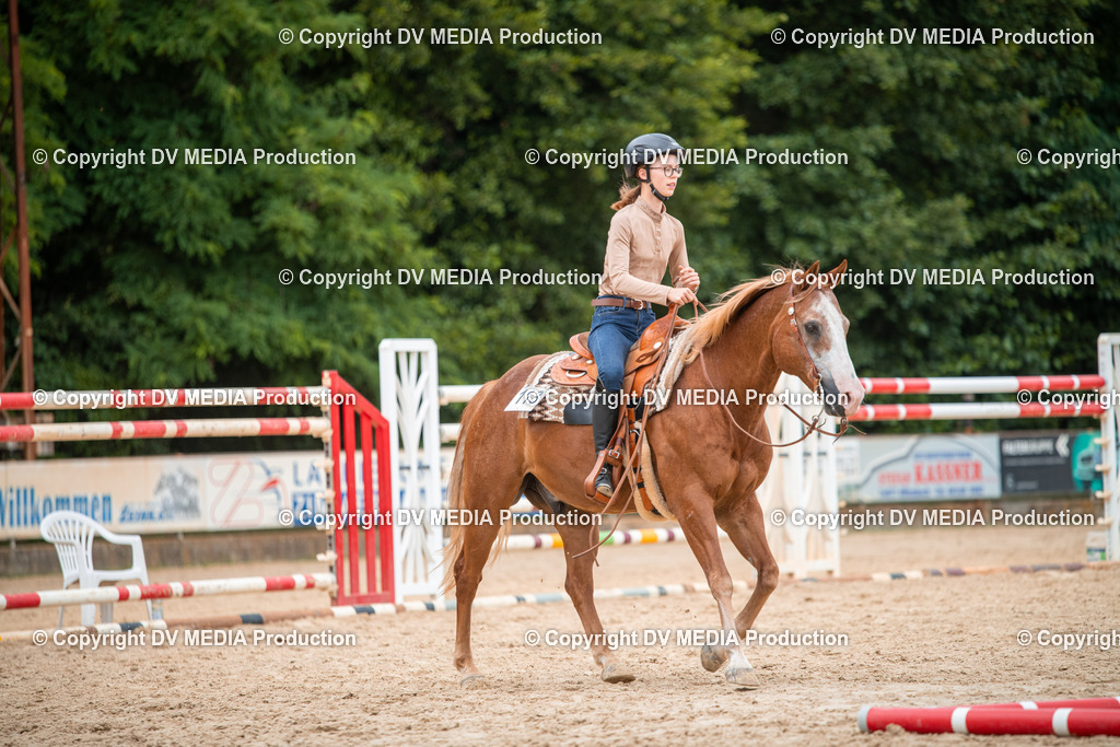 ZS2_8088 | dv-media-shop - Realisiert mit Pictrs.com