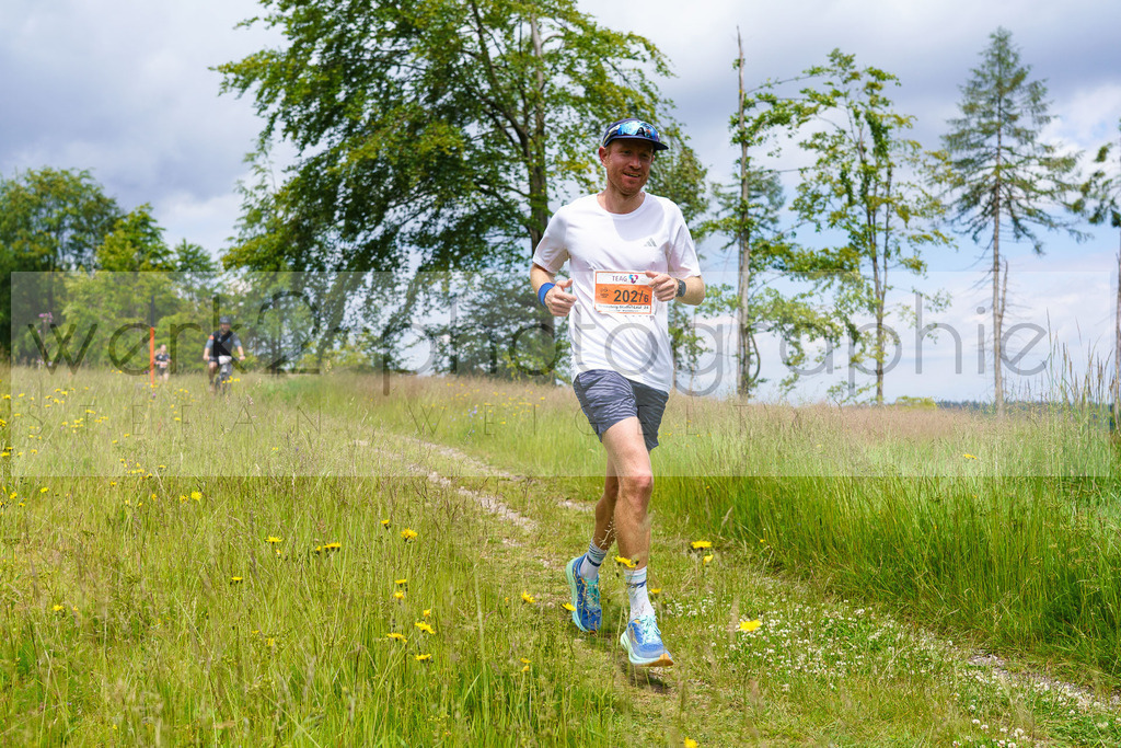 Rennsteig-Staffellauf | 24. Staffellauf - 22.06.2024 von Hörschel nach Blankenstein