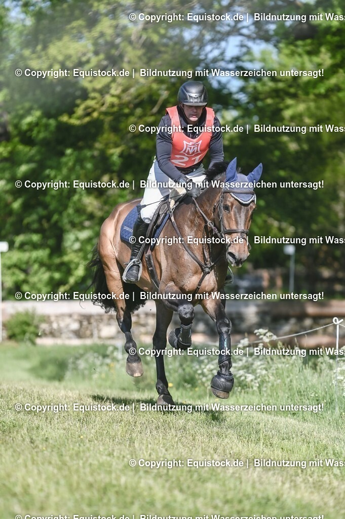 20250517_CCI2_Gelände_0596 | Foto: Thomas Hartig