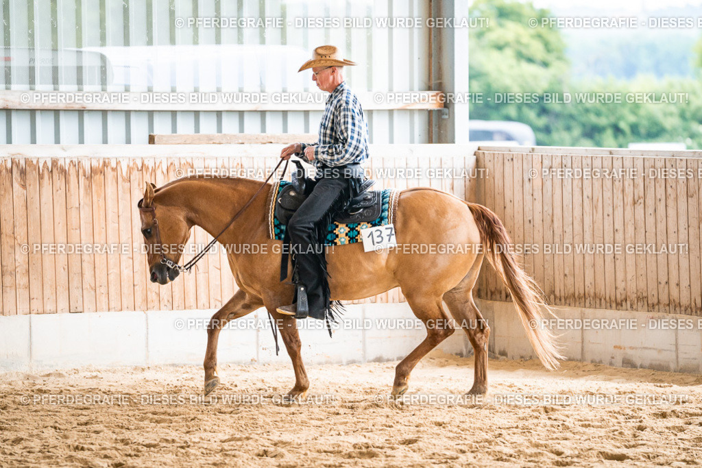 DSC00967 | Pferdegrafie