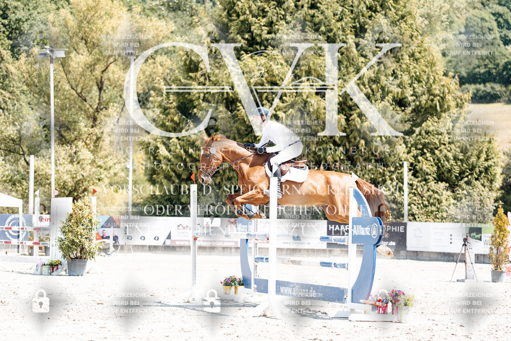 CK900690 | Turnierfotografie Pferdefotografie Trier Rheinland-Pfalz Pferdesport Reitsport Tierfotografie Sportfotografie Pferdevideo Pferdevideografie Equestrianvideography equestrianphotography  - Realisiert mit Pictrs.com