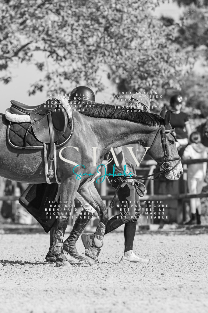 IMG_1076 | s-jay-photography - Realisiert mit Pictrs.com