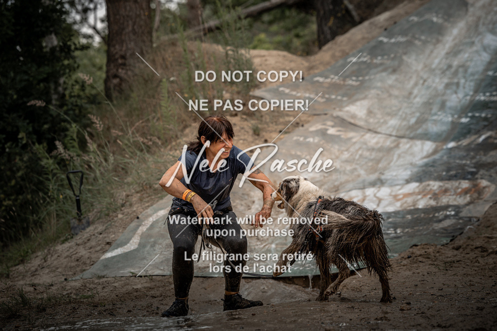 nelerasche_sa1500-1530_186 | nelerasche