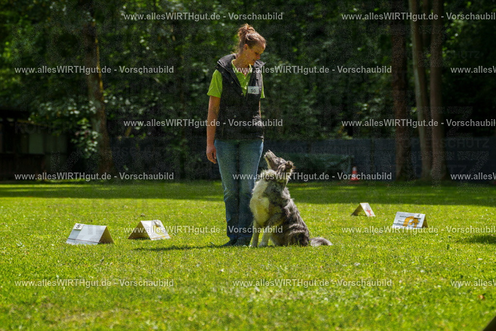 @allesWIRTHgut_Tierfotografie - www.allesWIRTHgut.de - 7R505873 | Professionelle Tierfotografie in Mönchengladbach von Daniel Wirth (allesWIRTHgut). Liebevolle & natürliche Bilder von Hunden & Katzen für unvergessliche Erinnerungen.