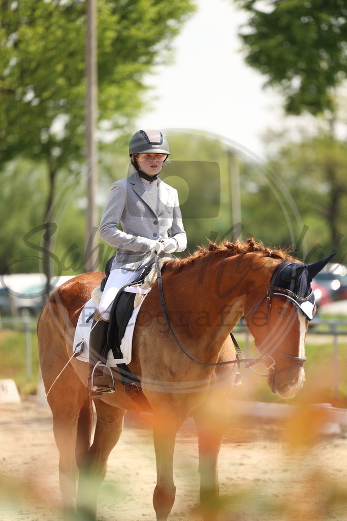 994A7175 | sabrinanicolaifotografie - Realisiert mit Pictrs.com