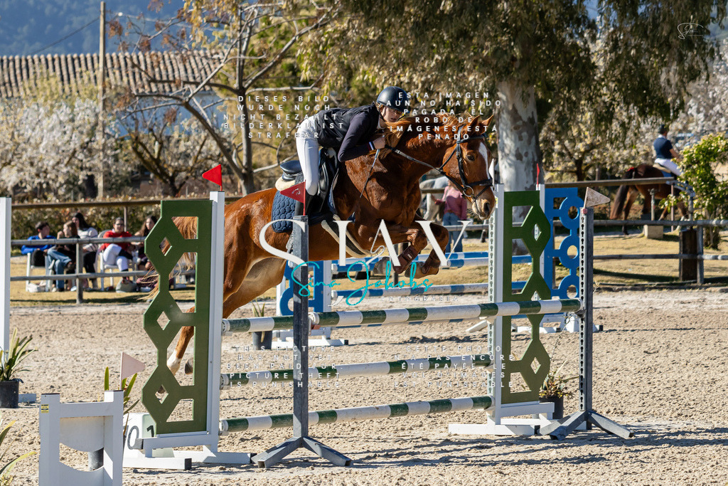 IMG_1347 | s-jay-photography - Realisiert mit Pictrs.com