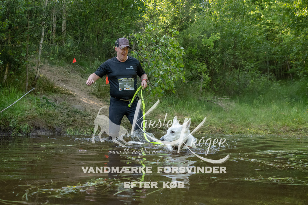 1742DKK992390 | kk-dogfotos