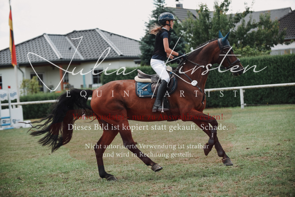 DSC_5726 | Pferde- und Turnierfotografie in Westsachsen. Pferdeportraits, Auftragszeichnungen und intuitive Kunst.