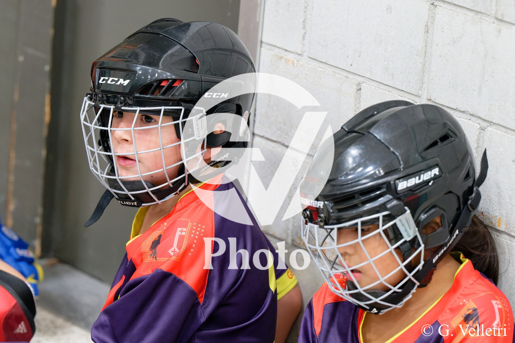 DSC_1736 | Velletri Photo