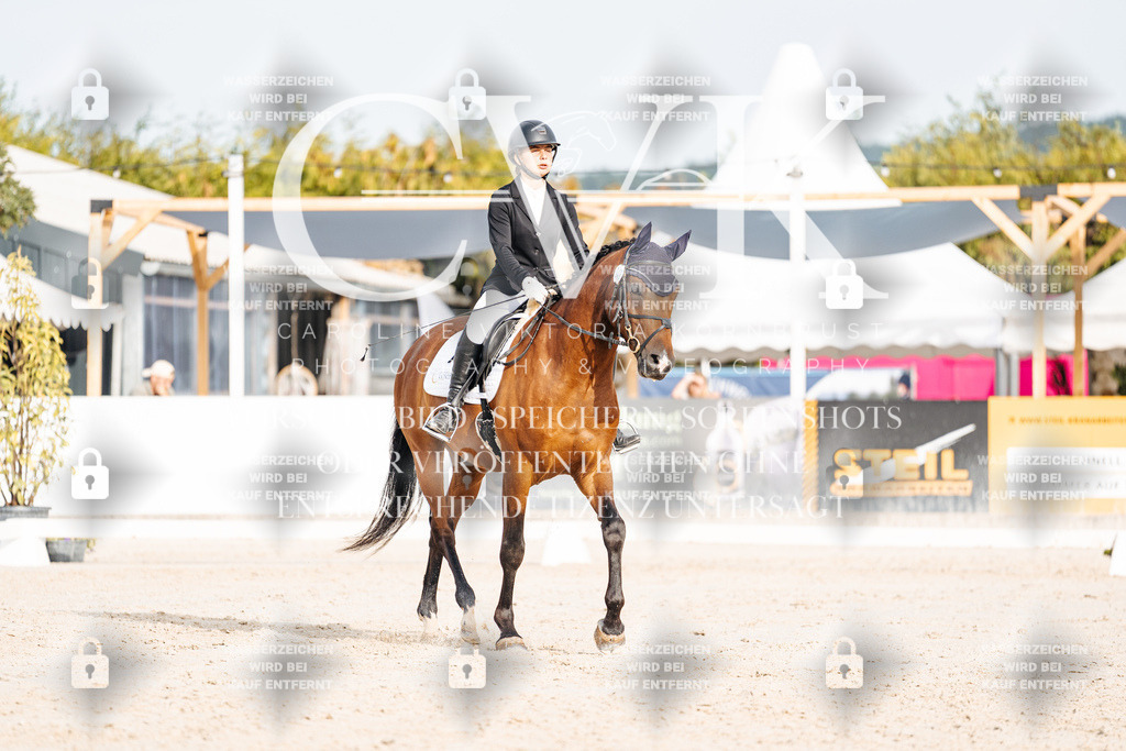 CK904018 | Turnierfotografie Pferdefotografie Trier Rheinland-Pfalz Pferdesport Reitsport Tierfotografie Sportfotografie Pferdevideo Pferdevideografie Equestrianvideography equestrianphotography  - Realisiert mit Pictrs.com