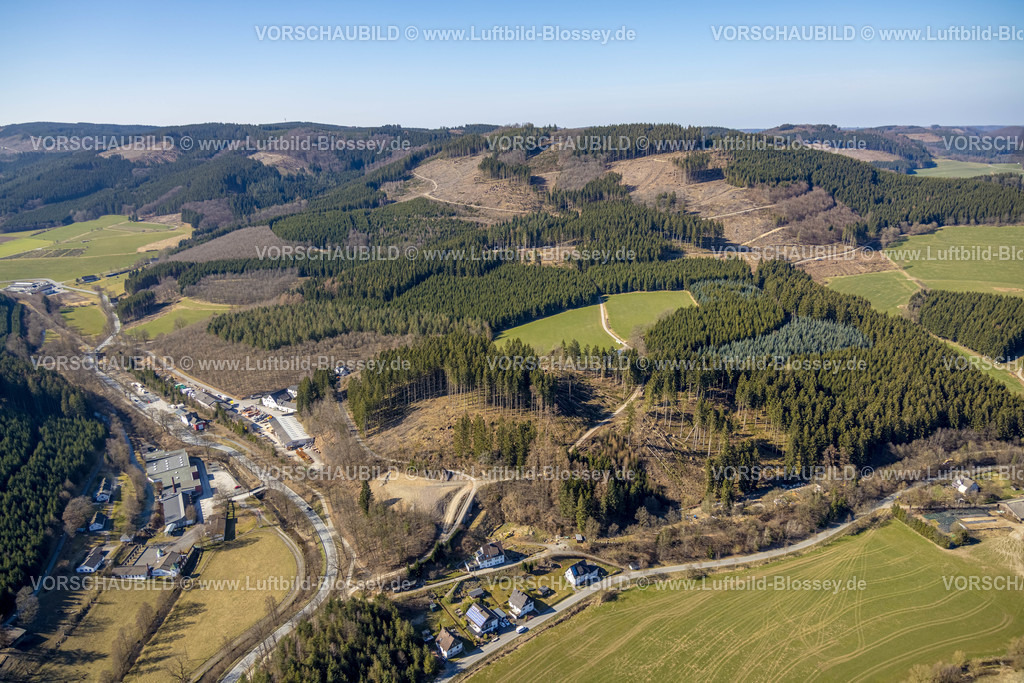 Eslohe220303968 | Luftbild, Rehenberg Waldgebiet mit Waldschäden, Eslohe, Eslohe, Sauerland, Nordrhein-Westfalen, Deutschland