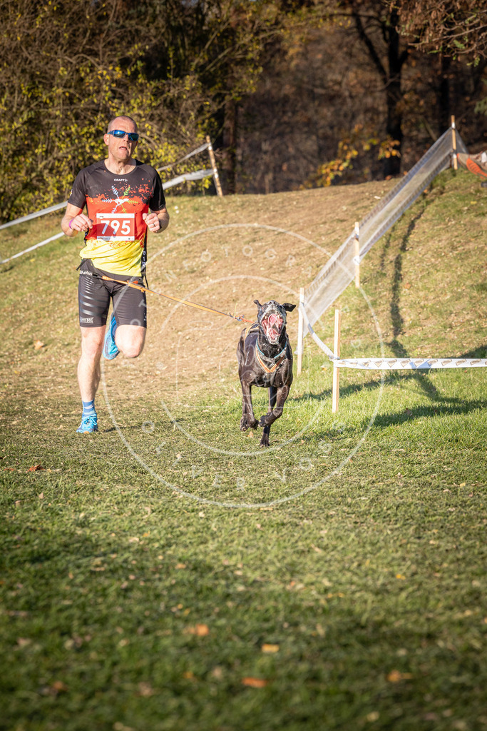 CaniXpix_0L8A0273 | Hundefotografie, Tierfotograf, Pfotenfotografie, Fotoshooting Hund, Hunde Portrait, Hundesport, Hundeportraits, Heideshooting, Hunde, Sportfotograf, Hundefotograf, Turnierhundsport, THS,  - Realisiert mit Pictrs.com