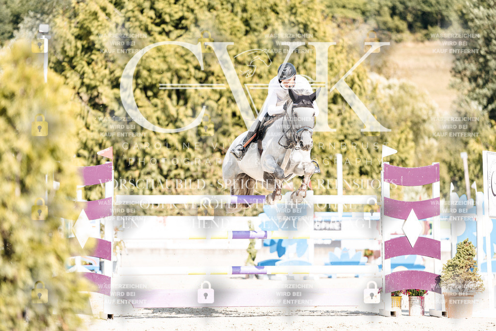 CK909152 | Turnierfotografie Pferdefotografie Trier Rheinland-Pfalz Pferdesport Reitsport Tierfotografie Sportfotografie Pferdevideo Pferdevideografie Equestrianvideography equestrianphotography  - Realisiert mit Pictrs.com
