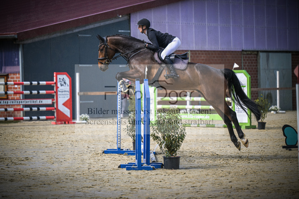 DOS_6351 | Entdecke hochwertige Reitturnierfotos von Foto Oger. Professionell, emotional und authentisch – jetzt Lieblingsmomente im Shop bestellen.Deutschlandweite Turnierfotografie. - Realisiert mit Pictrs.com