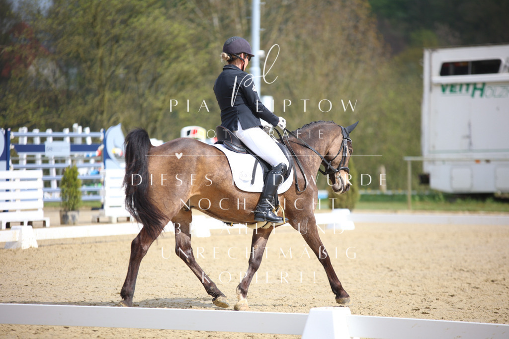 IMGT5662 | pl-fotografie